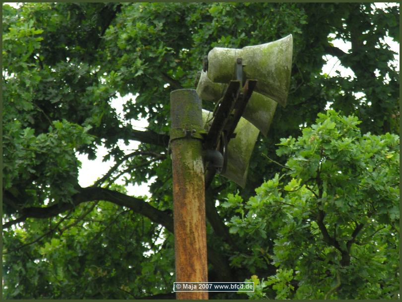 07-08-12-vfbep-nowed-287