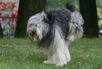 07-08-25-einheit-390