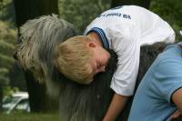 07-08-25-einheit-392