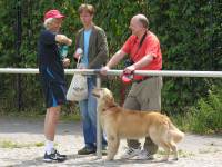 08-07-06-avitallscup-016