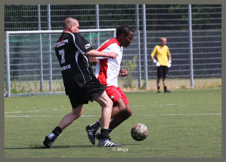 rotesterne-435