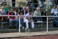 08-04-27-tuera-341
